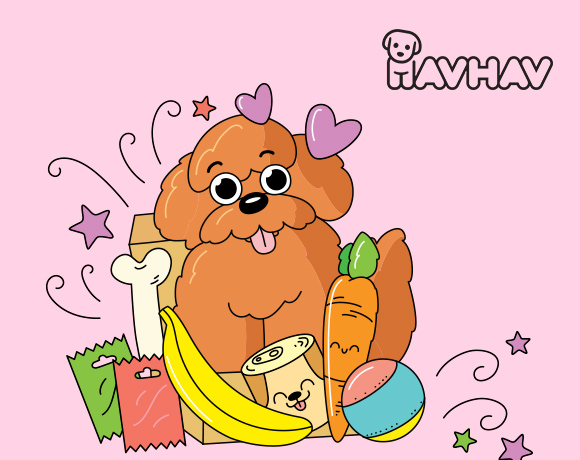 Maximum Pati Kart'a özel Havhav.com.tr’de aylık aboneliğe ilk kutu %15 indirimli!