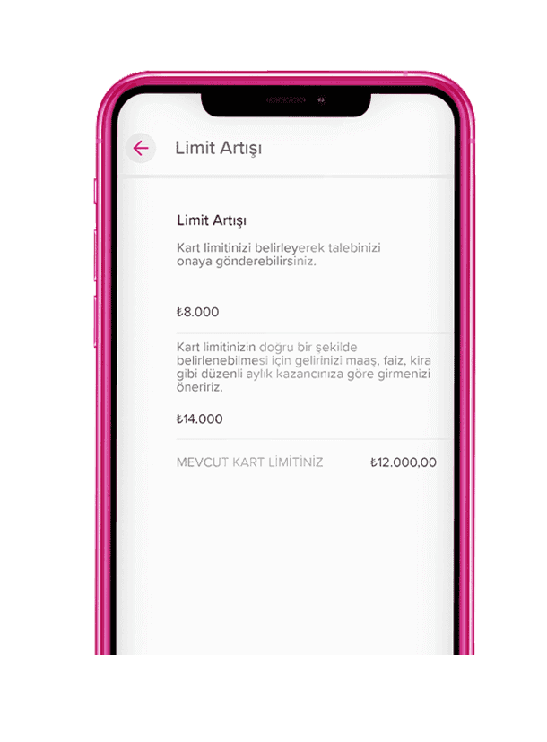 limit artışı