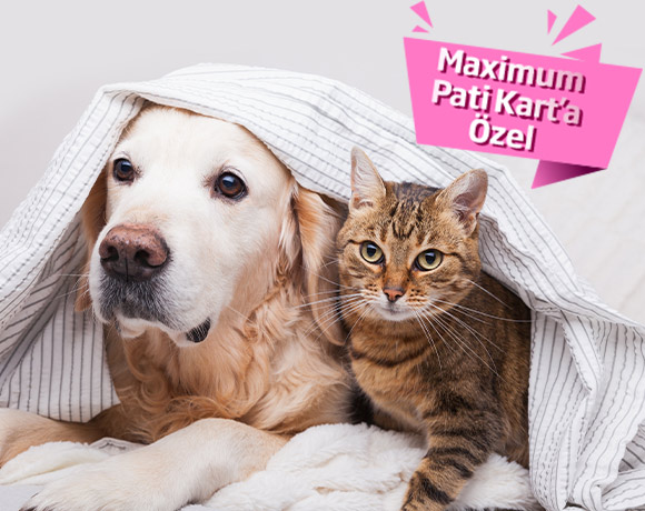Maximum Pati Kart ile Veteriner/Petshop Harcamalarınızı Faizsiz Taksitlendirin!